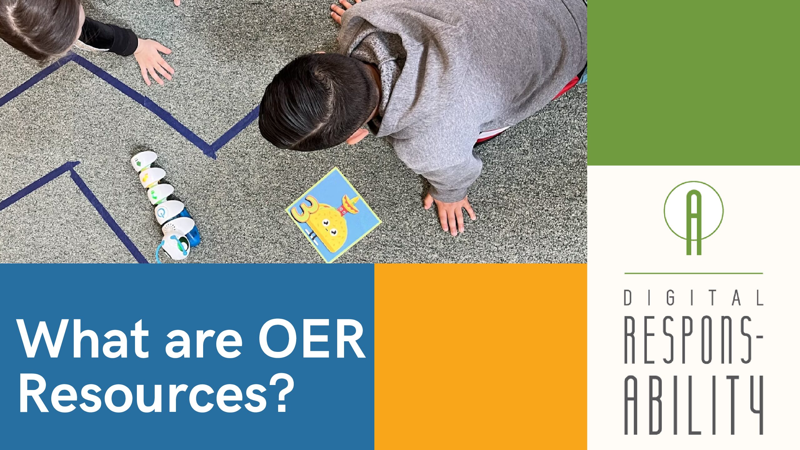 What are OER Resources?